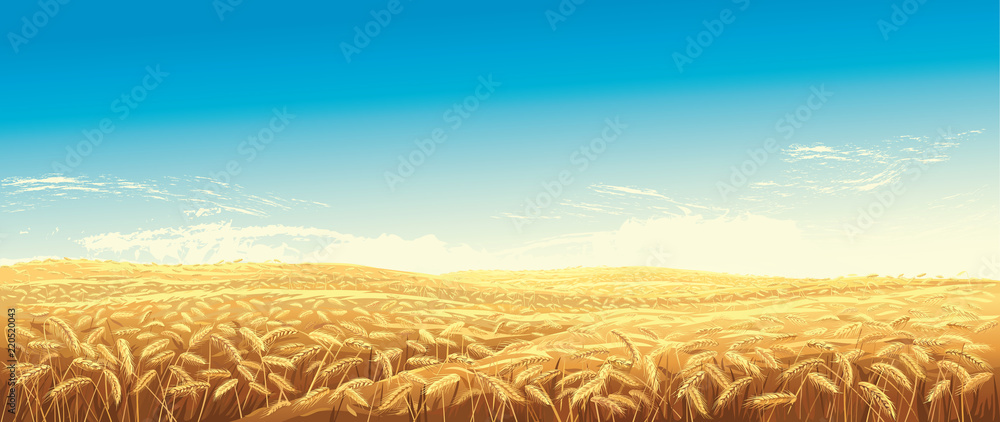 背景是麦田和青山的乡村景观。矢量插图。