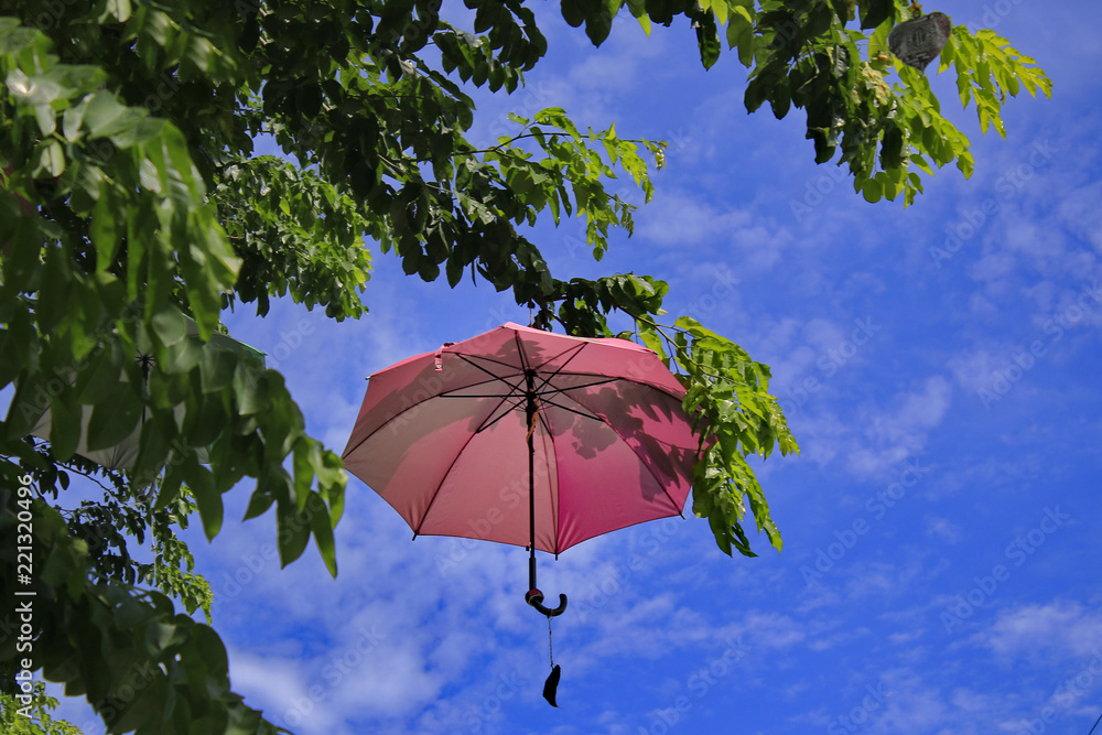 伞挂在天空后面的一棵树上。