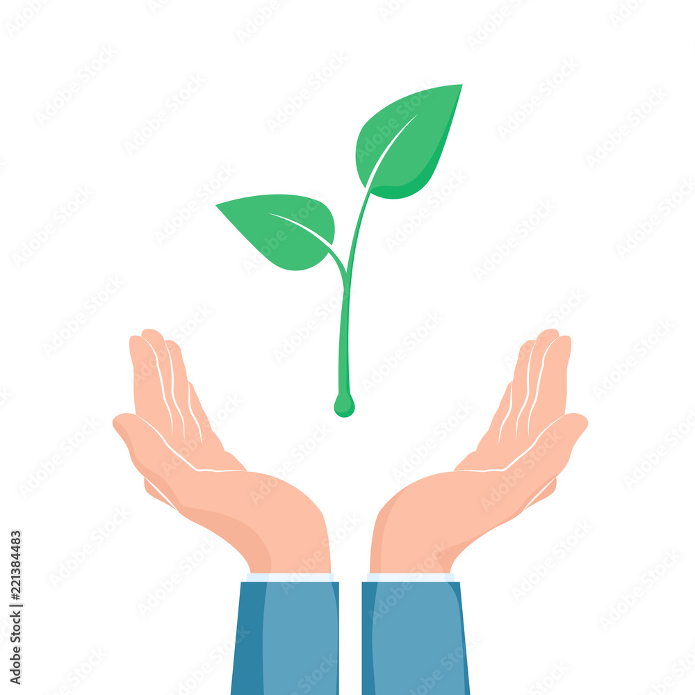 双手之间的植物生长。生态符号。手持绿色植物幼苗的杯状手。矢量illu