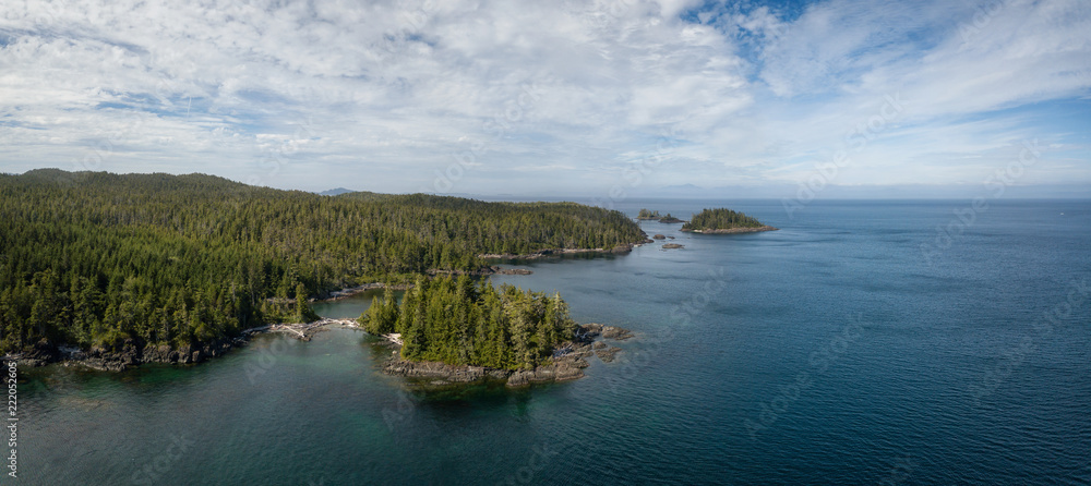 在充满活力的夏季，岩石海岸的空中全景景观。拍摄于北Vanco