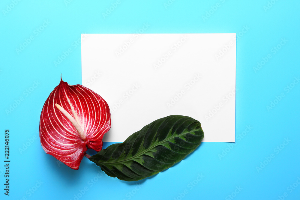 彩色背景上的新鲜热带树叶、花朵和空白卡片
