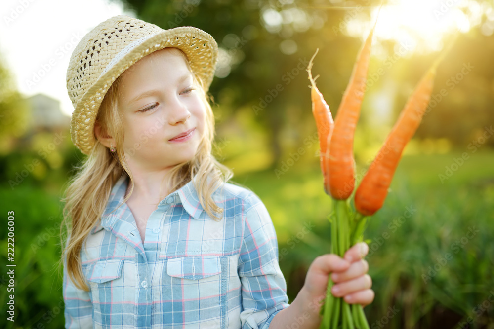 可爱的小女孩戴着草帽，手里拿着一束新鲜的有机胡萝卜。新鲜健康的有机f