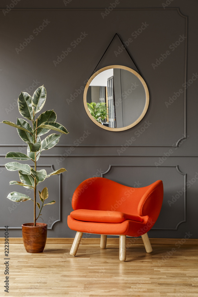 大榕树，一把充满活力的橙色扶手椅，灰色客厅内部有一面圆形镜子，带pl