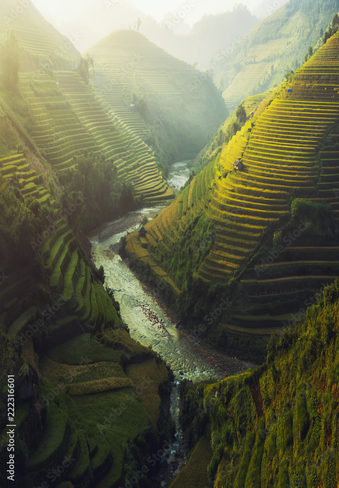 Vietnam Rice terraced
