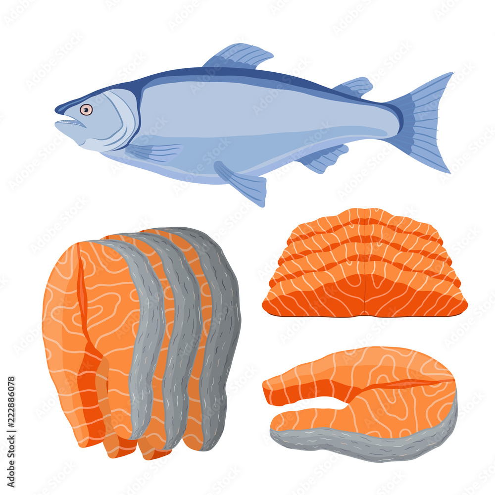 矢量三文鱼海鲜。鲜鱼，橙鱼片
