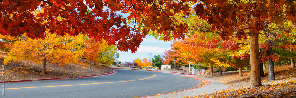 秋天穿过五颜六色的树的路