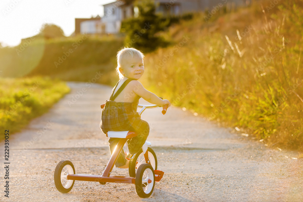 可爱的蹒跚学步的孩子，男孩，在公园里玩三轮车，孩子在日落时骑自行车
