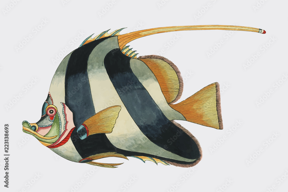 Colorful and surreal illustrations of fishes found in Moluccas
