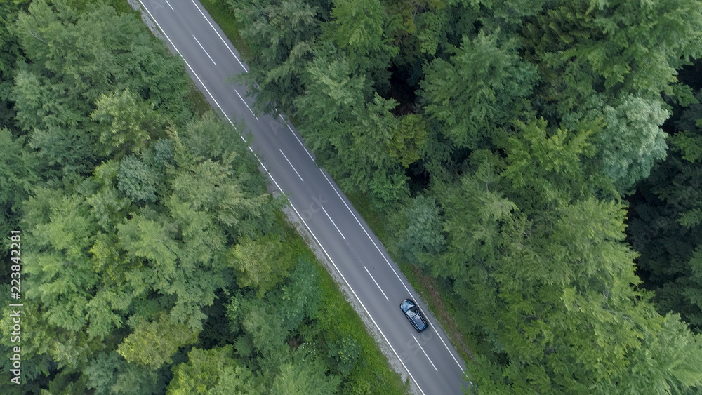 空中：深色的旅游车在森林中的空旷柏油路上行驶。