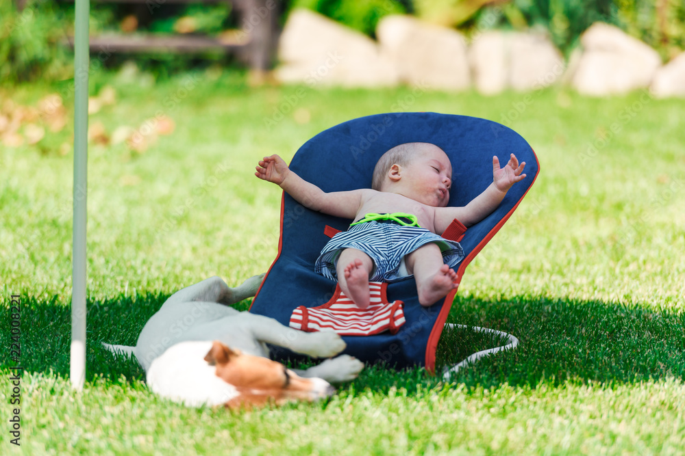 男婴和狗躺在躺椅上，躺在绿色草坪上。放松和度假的概念