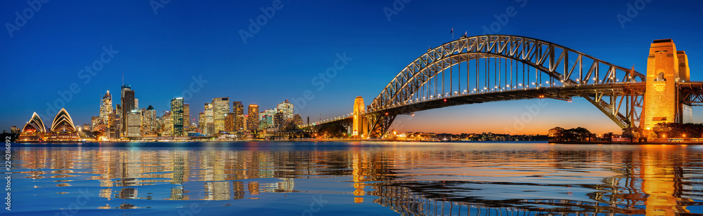 悉尼海港和悉尼市桥梁全景