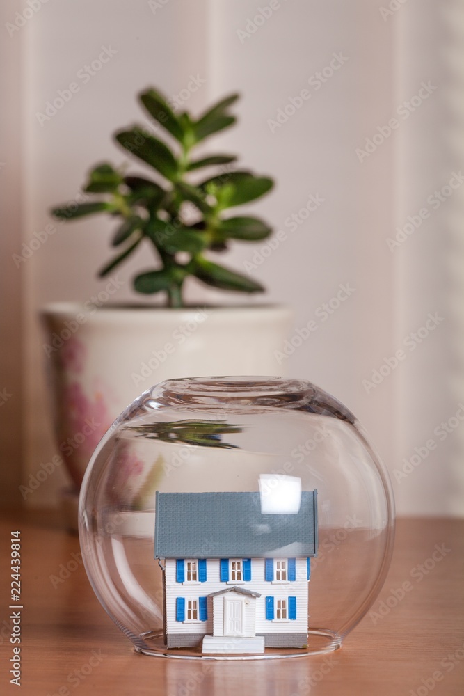 桌上玻璃花盆下的房子模型