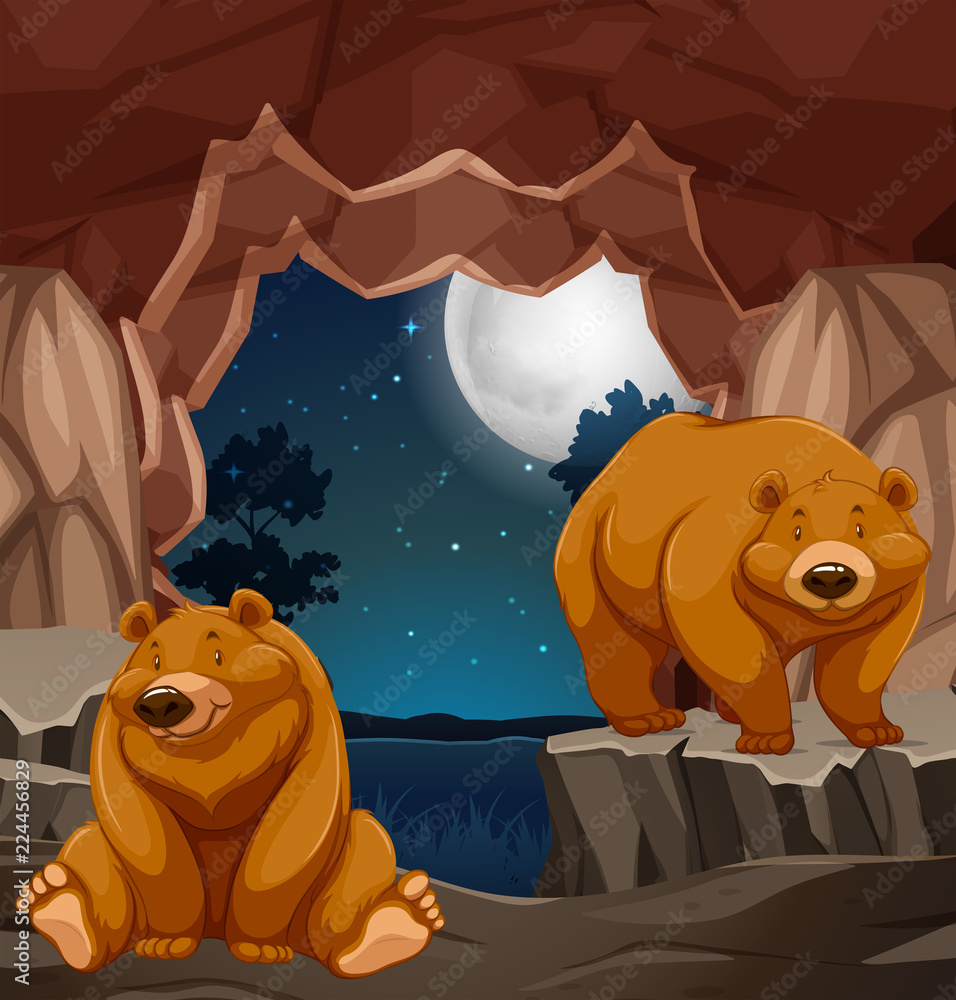 洞穴里的两只棕熊