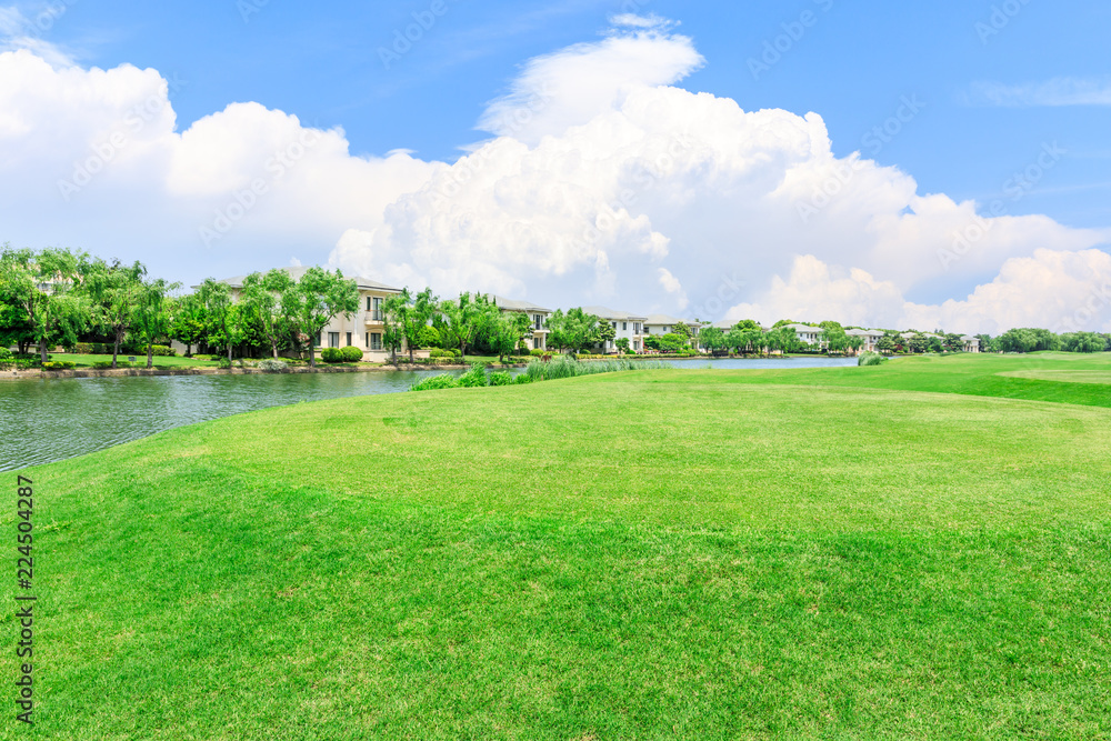 Green meadow and woods with apartment buildings scenery in summer