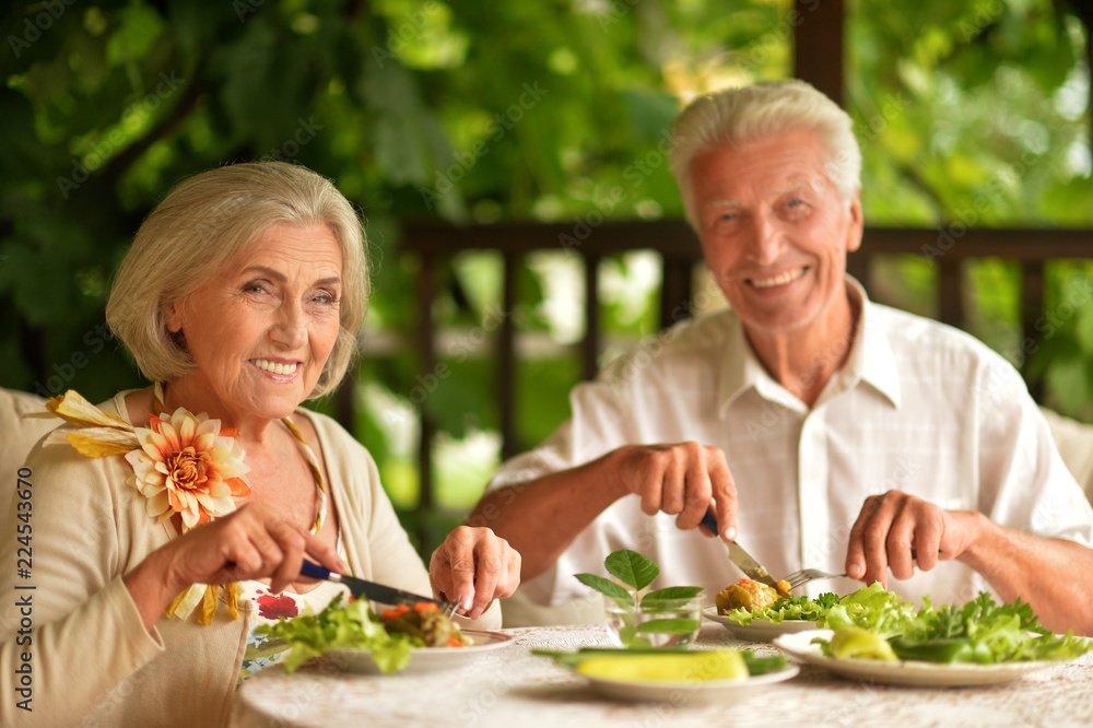 幸福的老年夫妇共进晚餐的肖像