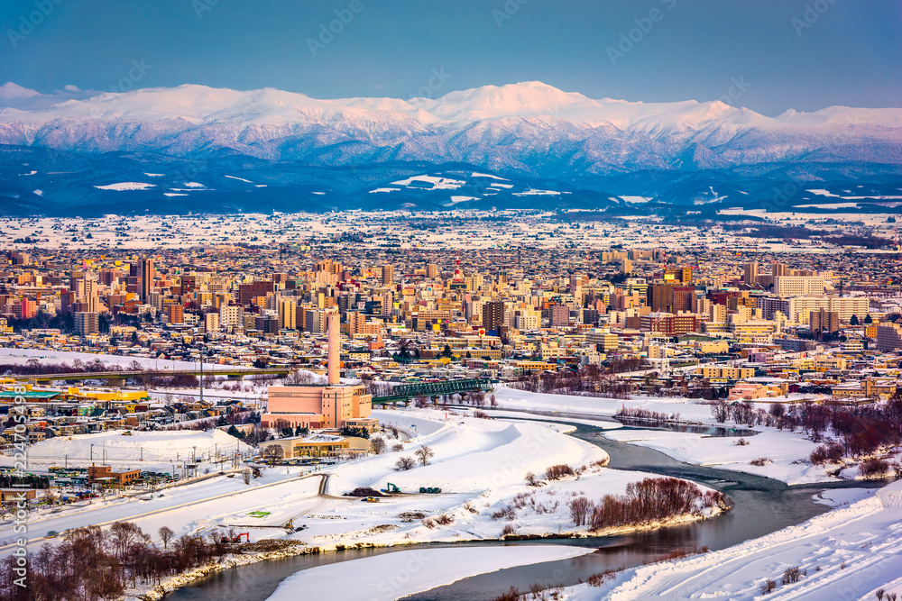 旭川，日本北海道的冬季城市景观。