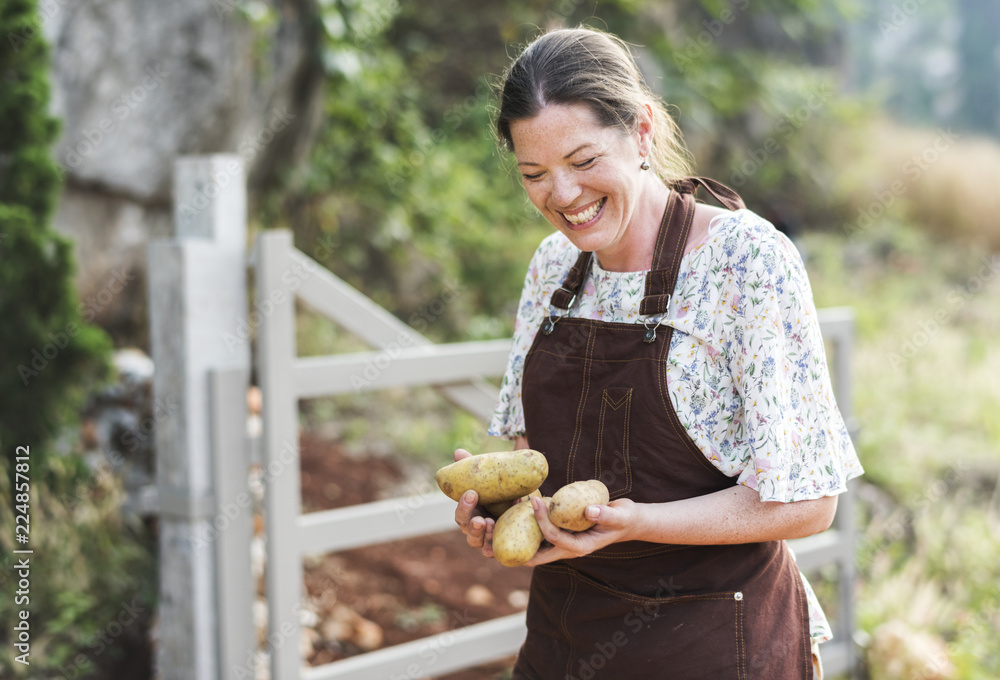 快乐的女人在农场收集土豆