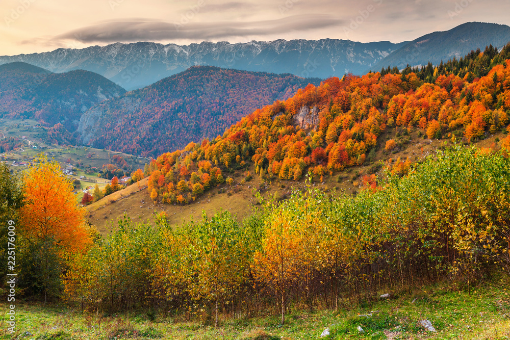 罗马尼亚特兰西瓦尼亚布拉索夫县马古拉村美丽的秋季多彩景观