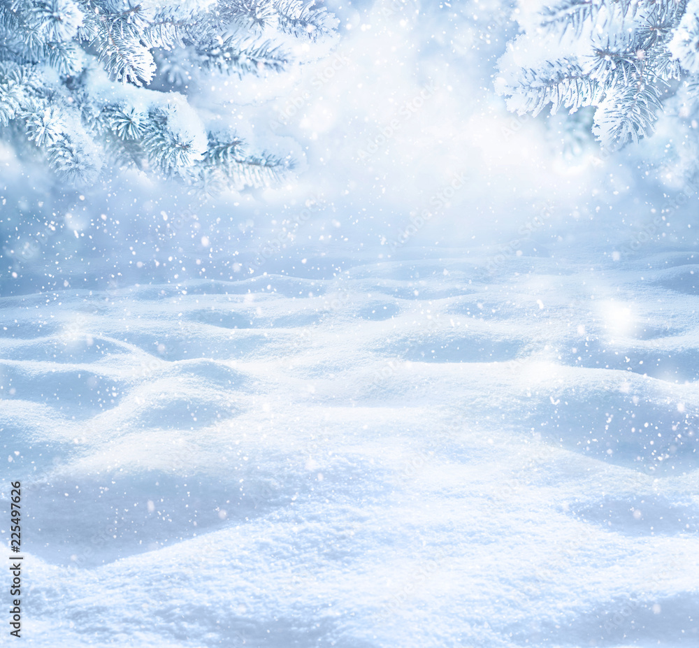 带复制空间的冬季圣诞节风景背景。云杉树枝覆盖的雪景
