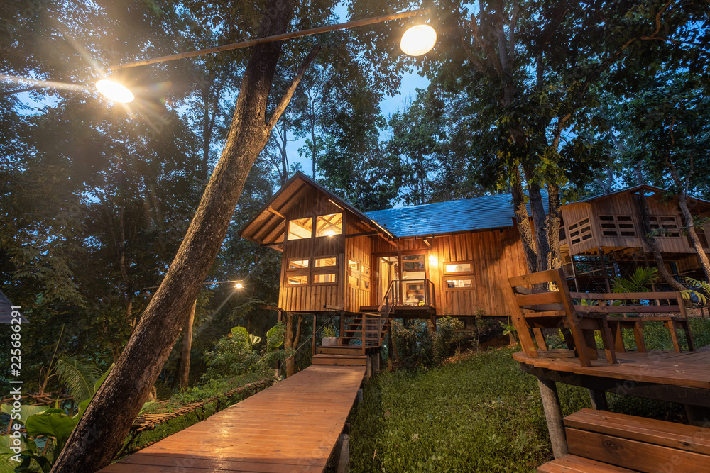 雨林中的建筑木屋