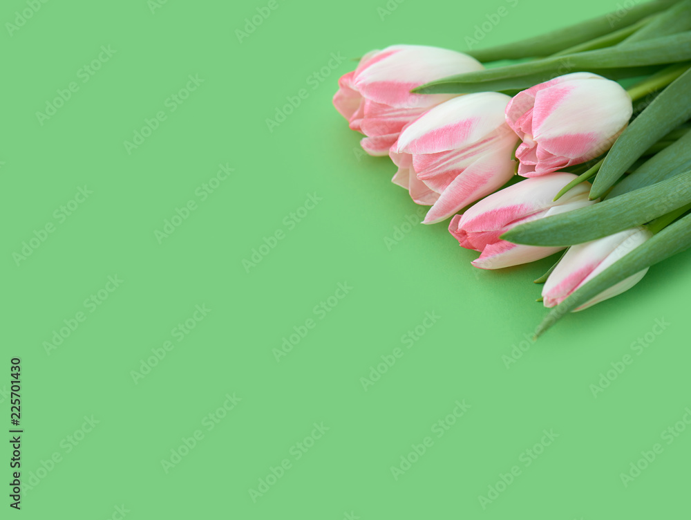 绿底粉色郁金香花束