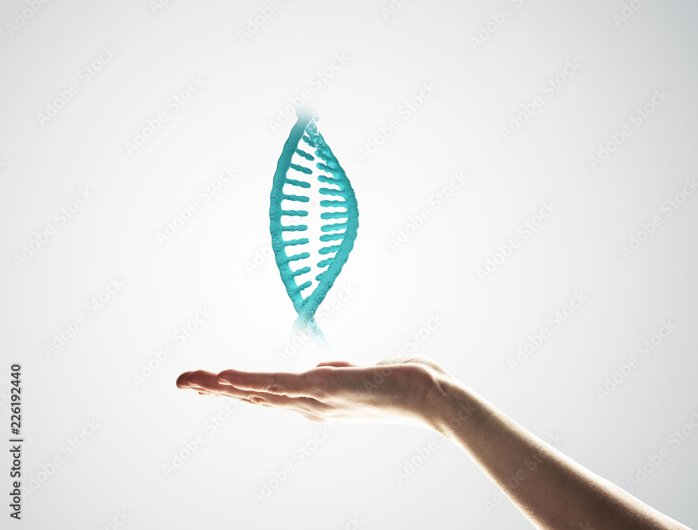 雄性手掌中DNA分子呈现的生物技术概念