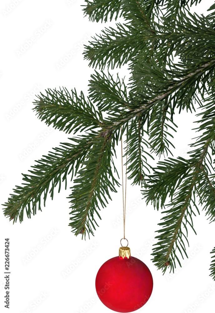 白色隔离带圣诞饰品的冷杉树枝