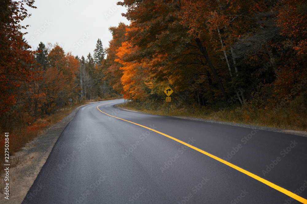在高速公路上行驶，追逐加拿大安大略省马斯科卡市秋天的金色。
