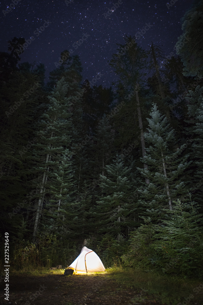 夜间在森林中靠树的照明帐篷
