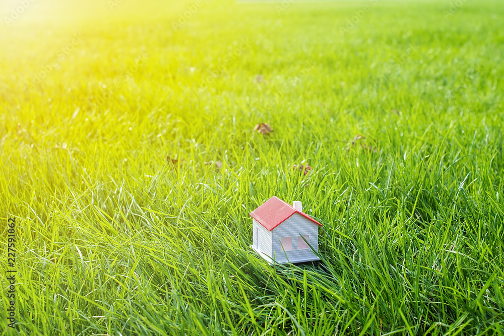 草地上的房子模型/打造绿色家园