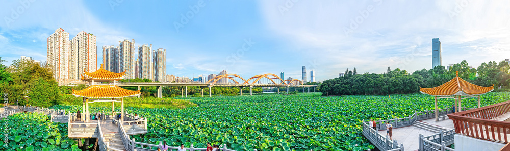 深圳洪湖公园全景/荷塘彩虹桥