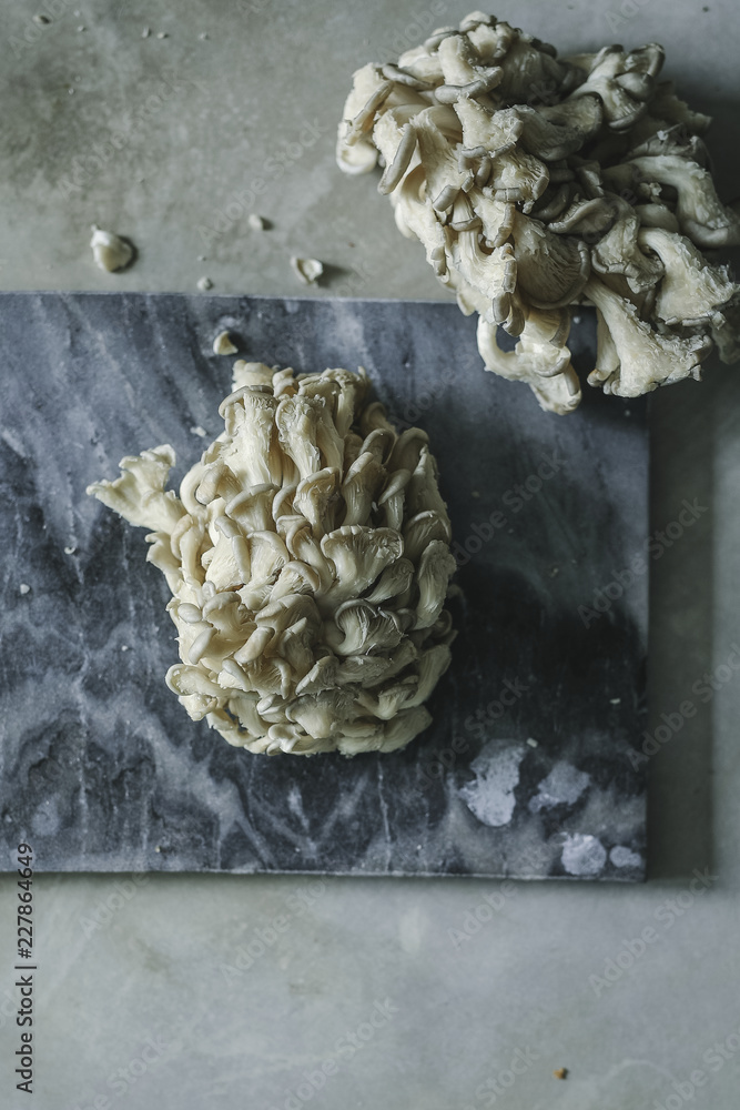 灰色石板上的新鲜牡蛎蘑菇