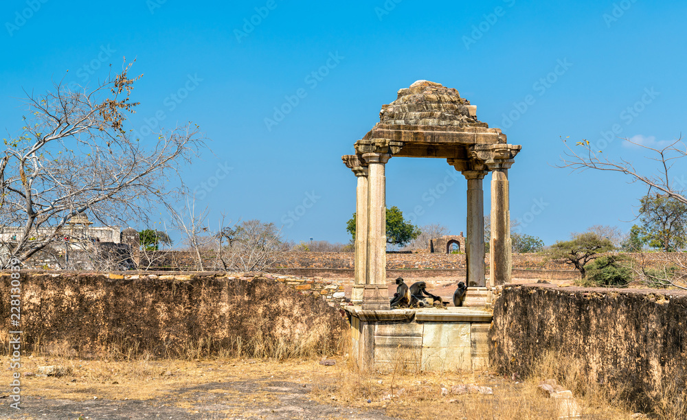 印度拉贾斯坦邦奇托加尔堡拉尼·帕德米尼宫的防御工事