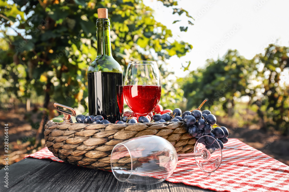 葡萄园木桌上一瓶一杯的红酒配新鲜葡萄