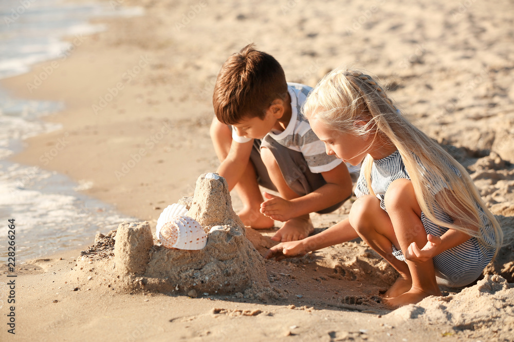 可爱的孩子在海边建造沙城堡