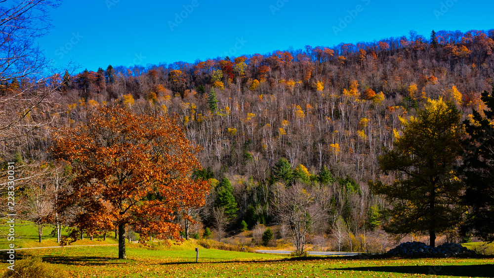 秋天的风景-佛蒙特州普利茅斯诺奇