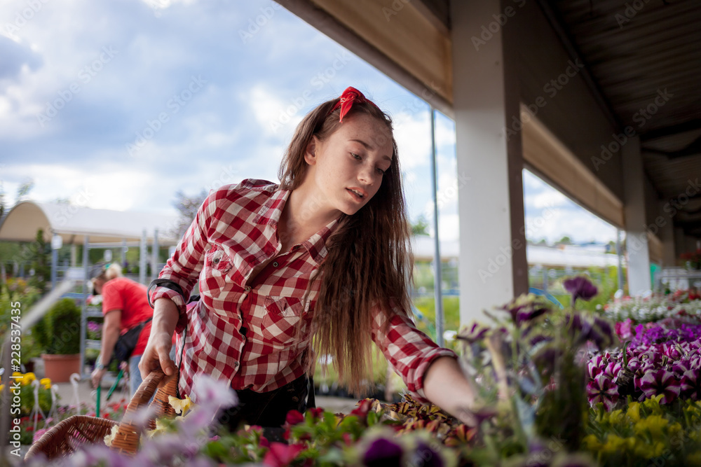 客户女士在花园中心选择盆栽花卉