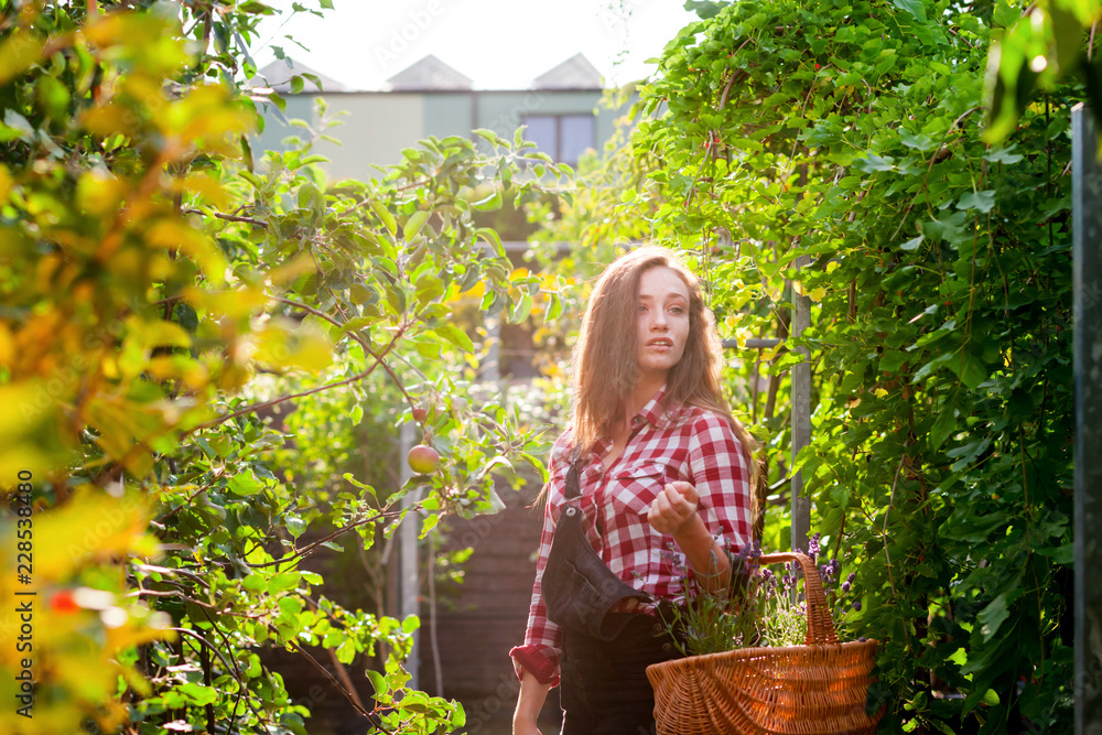 园丁妇女在花园中心的绿地中拿着篮子寻找植物