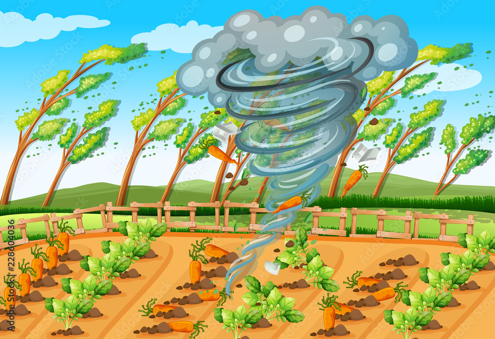 Tornado in farm scene