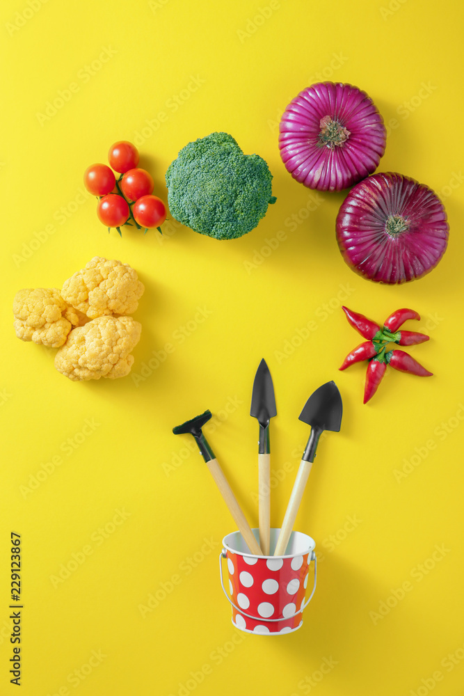 在彩色背景上用各种蔬菜和园艺工具进行平躺构图