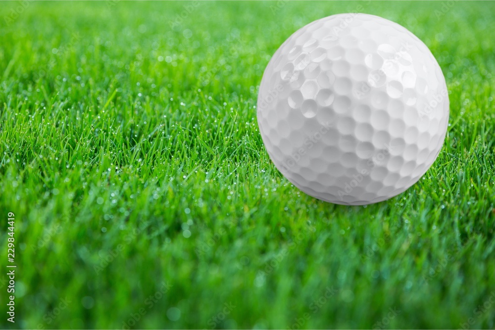白色背景下孤立的高尔夫球。运动和娱乐