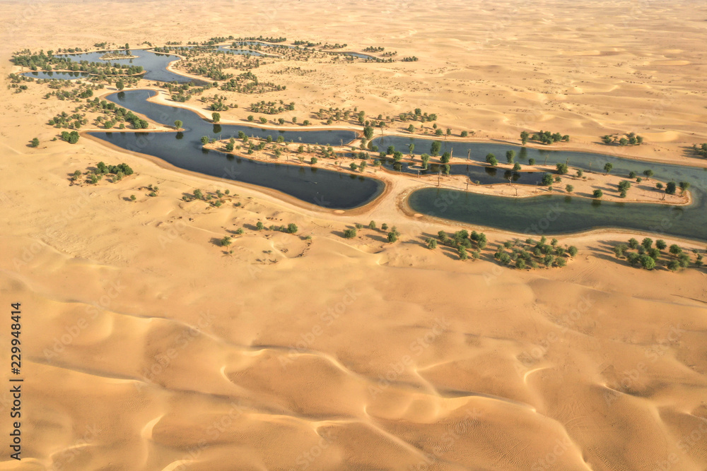 沙漠中美丽绿洲中的湖泊和树木。阿联酋迪拜。