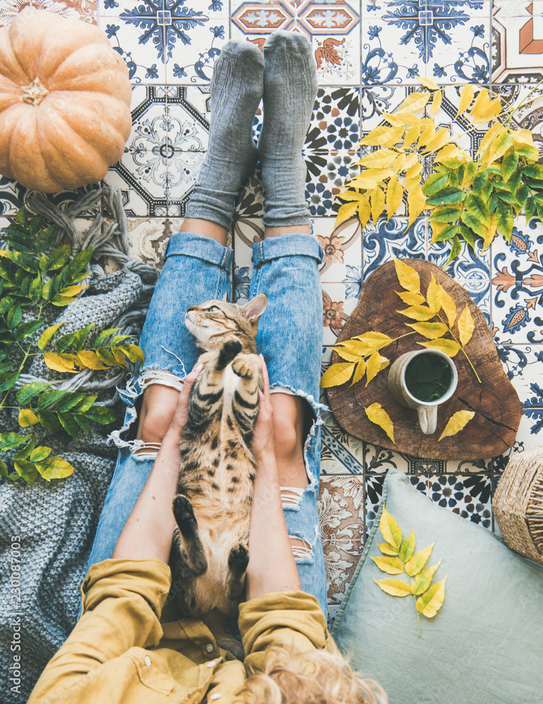 秋天或秋天的阳台喝茶时间。平躺在彩色瓷砖地板上的雌性与猫坐在一起，摔倒了