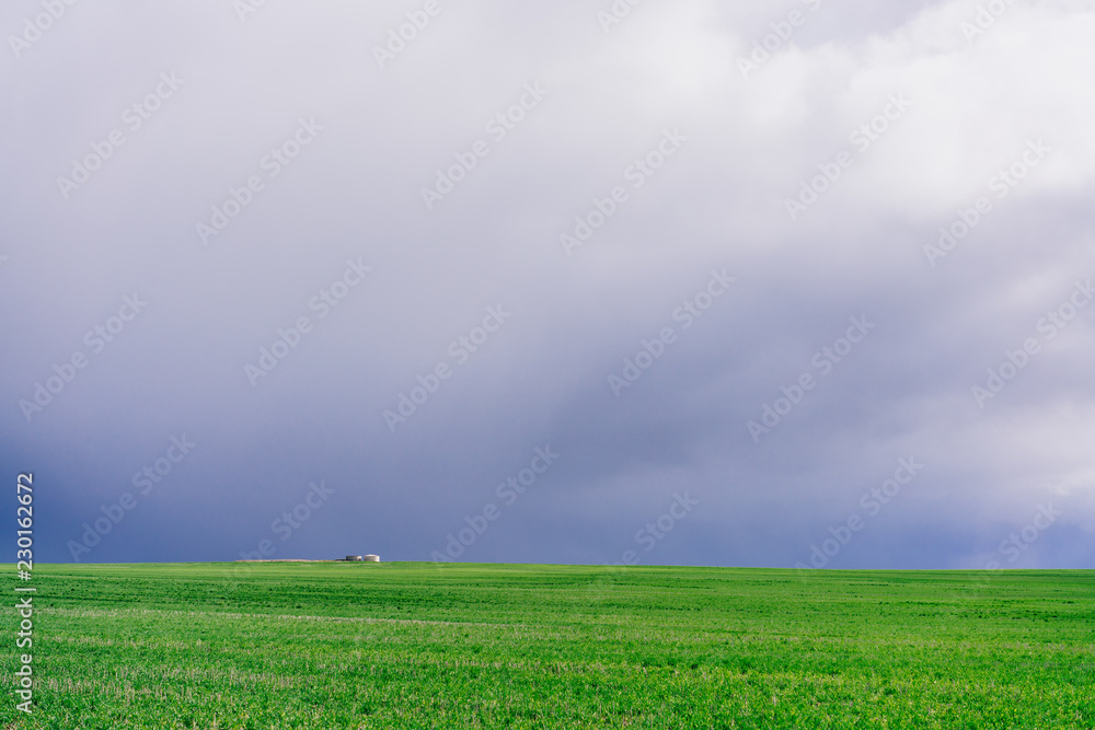 西澳大利亚小麦带带筒仓o的绿色农田和阴天的最小照片