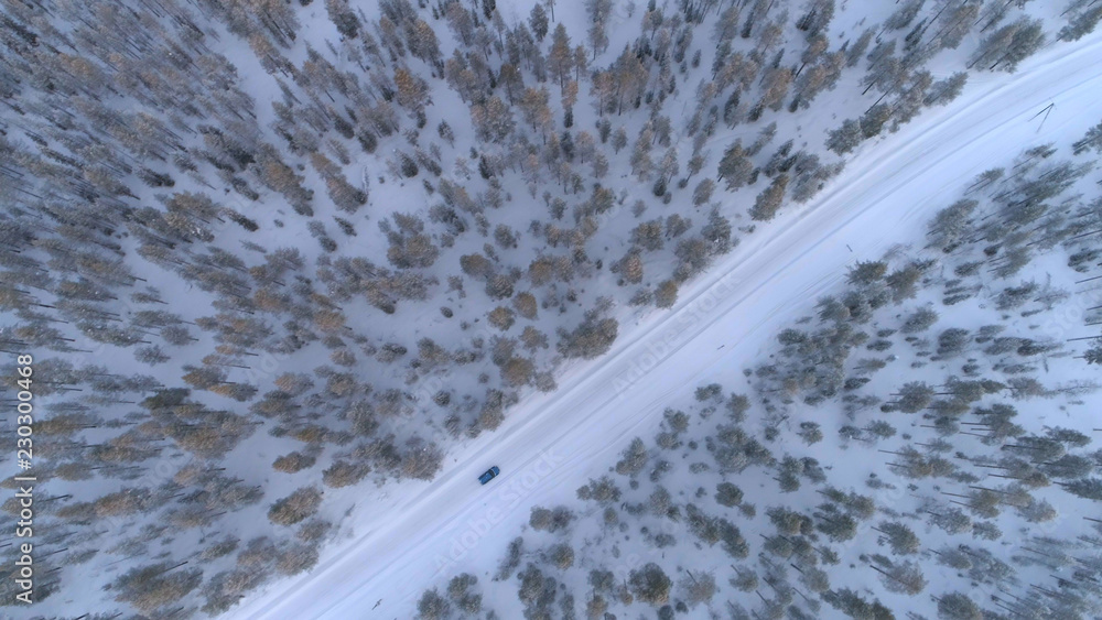空中俯视：汽车在雪地上行驶，穿过霜冻的冬季云杉林