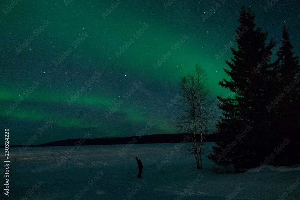 鲜艳的北极光在雪地草地上为游客头顶的夜空着色。