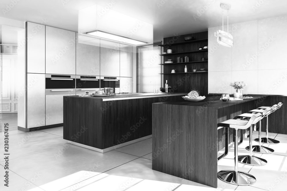 现代设计厨房（B&W）