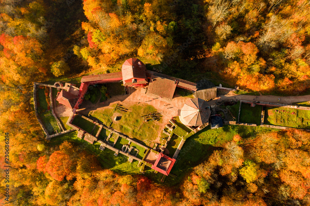 金秋时节，拉脱维亚锡古尔达Turaides城堡的美丽鸟瞰图。橙色森林