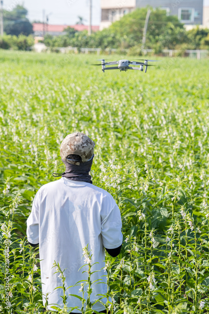 一位年轻的技术农民正在使用遥控导航无人机追踪农场，以监测g