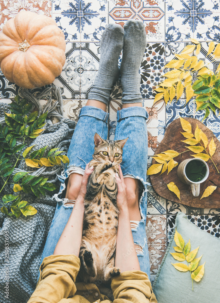 秋天或秋天的阳台喝茶时间。女性平躺在老虎色的彩色瓷砖地板上